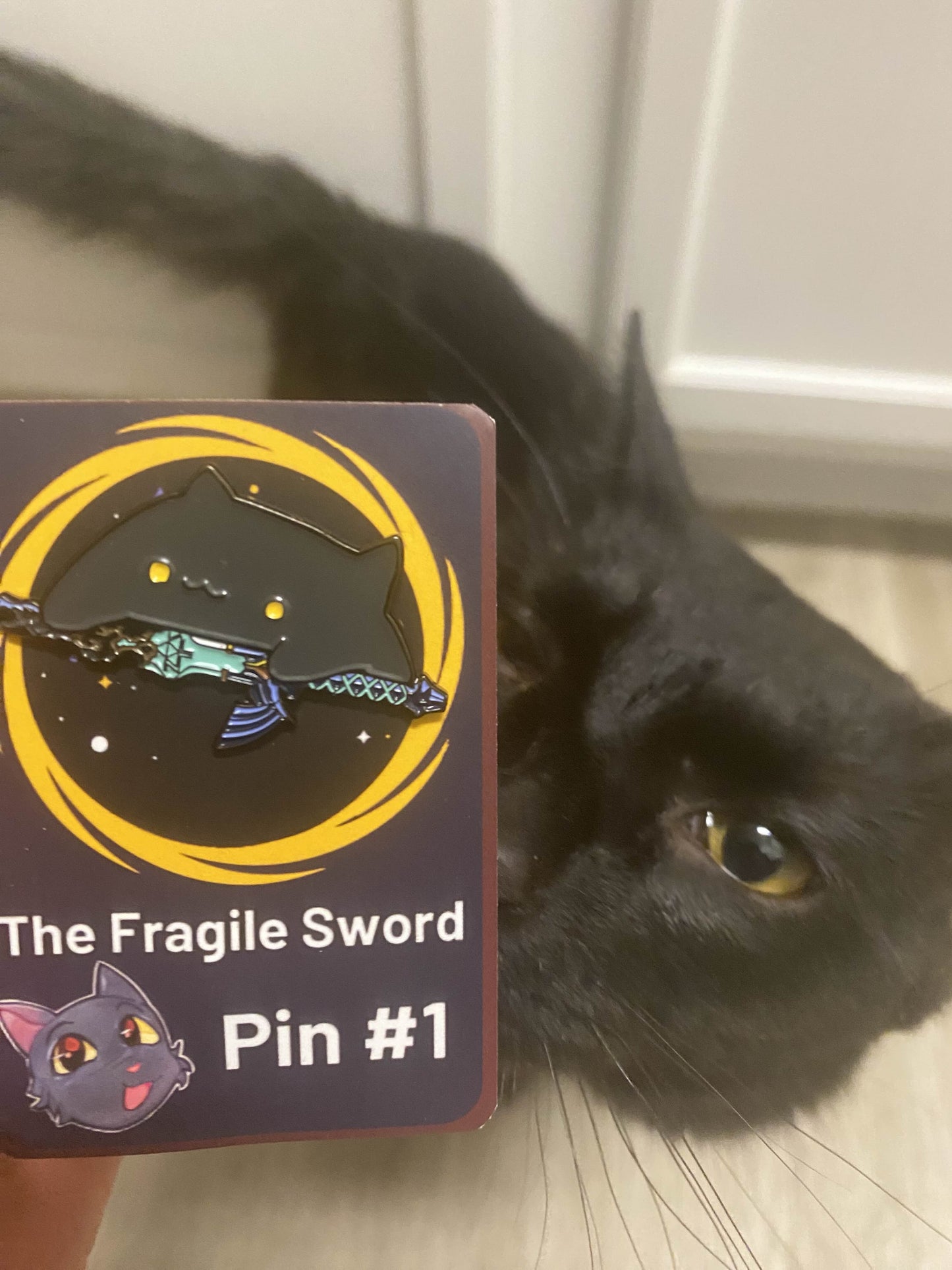 The Fragile Sword Pin